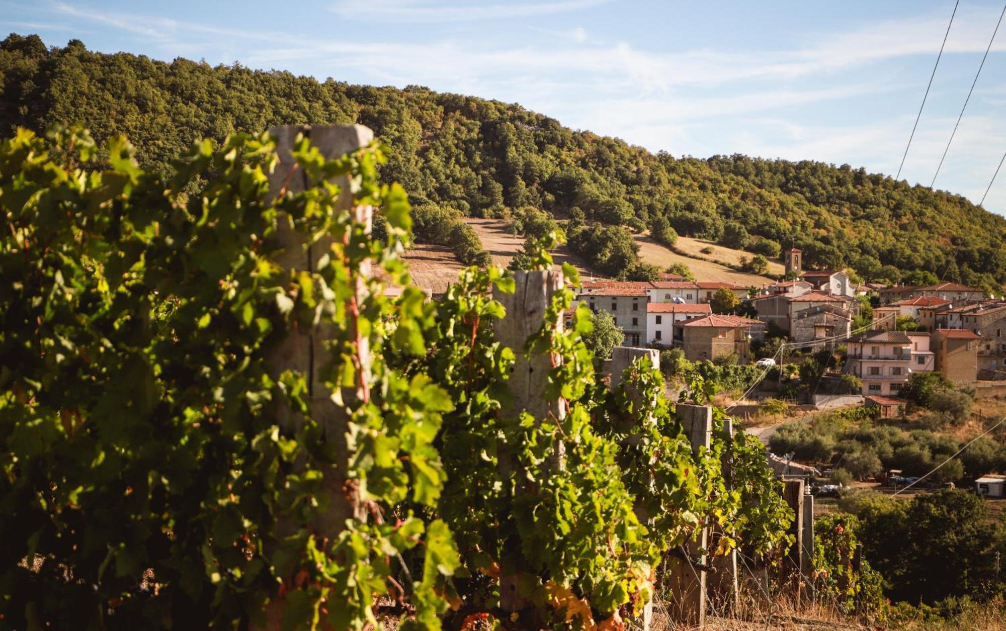 Bio Agriturismo Poggio Aione Saturnia Εξωτερικό φωτογραφία