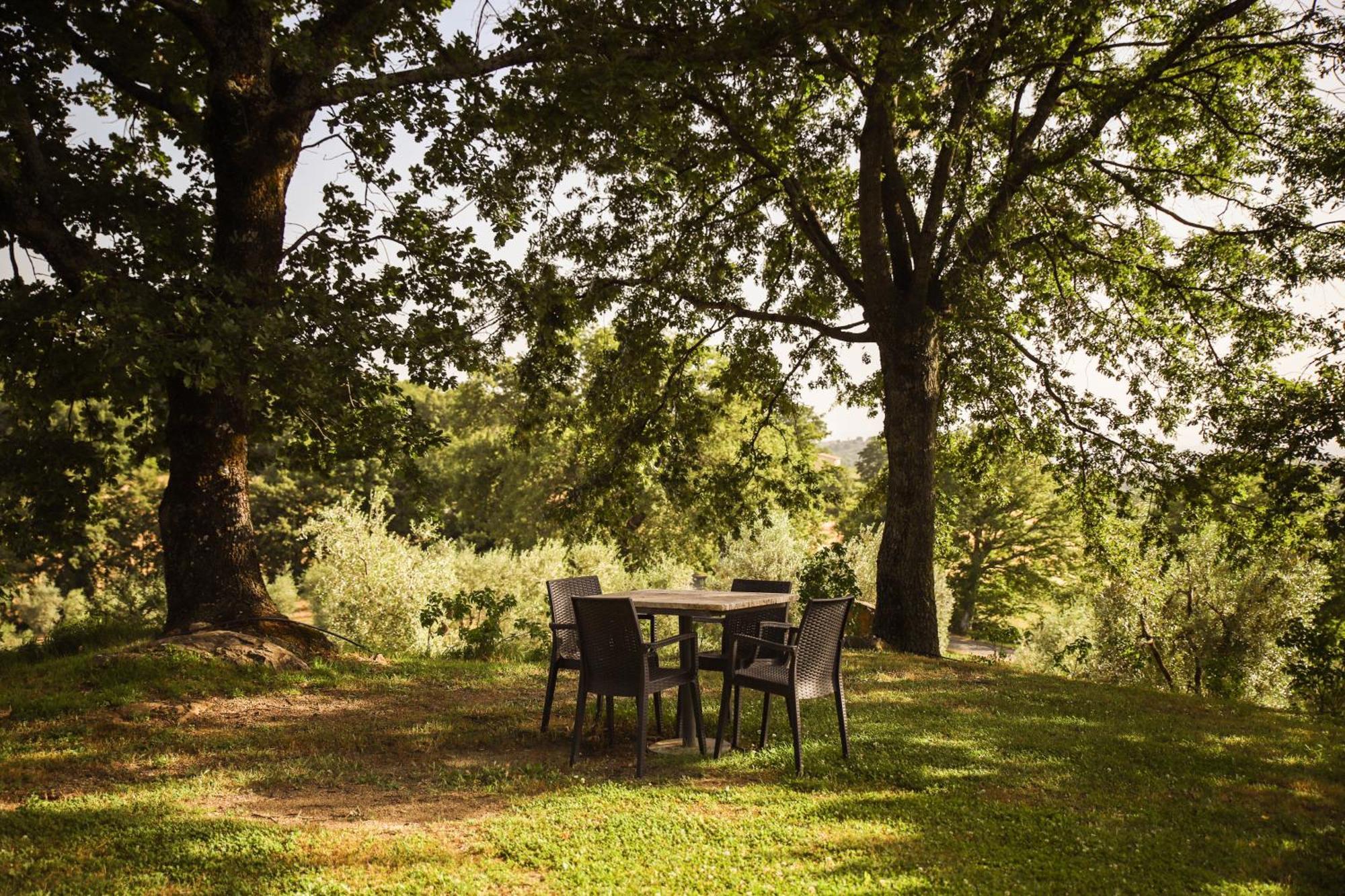 Bio Agriturismo Poggio Aione Saturnia Εξωτερικό φωτογραφία